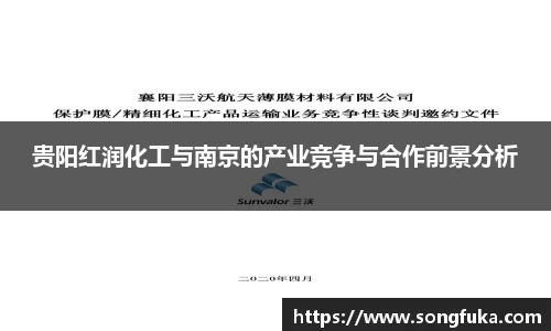 贵阳红润化工与南京的产业竞争与合作前景分析