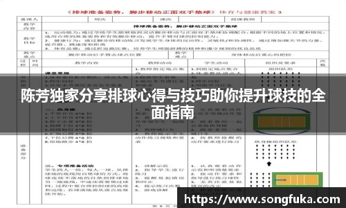 陈芳独家分享排球心得与技巧助你提升球技的全面指南