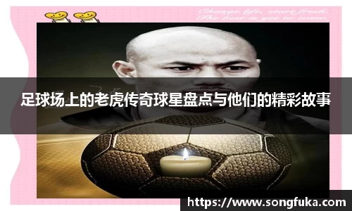 足球场上的老虎传奇球星盘点与他们的精彩故事